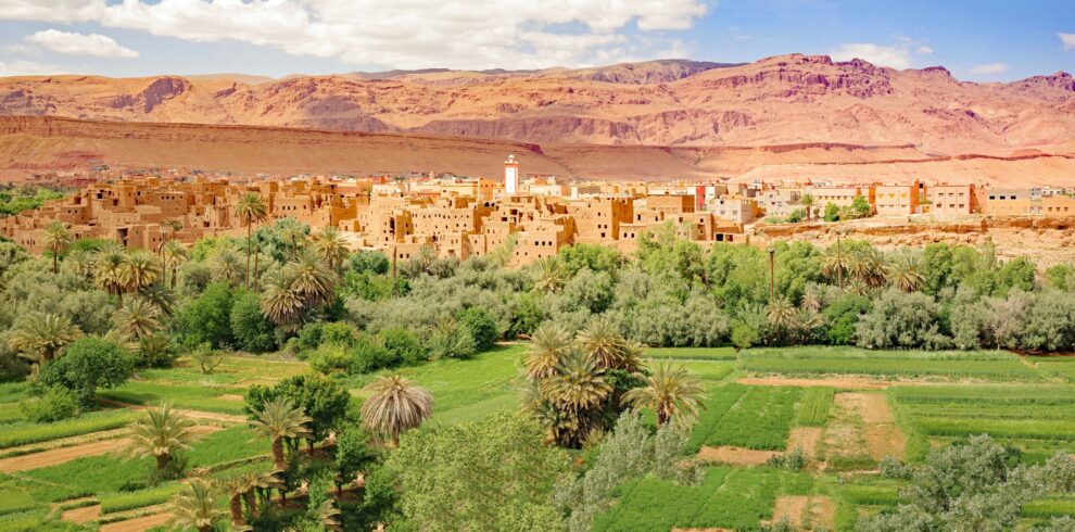 4 Days Desert Express Adventure