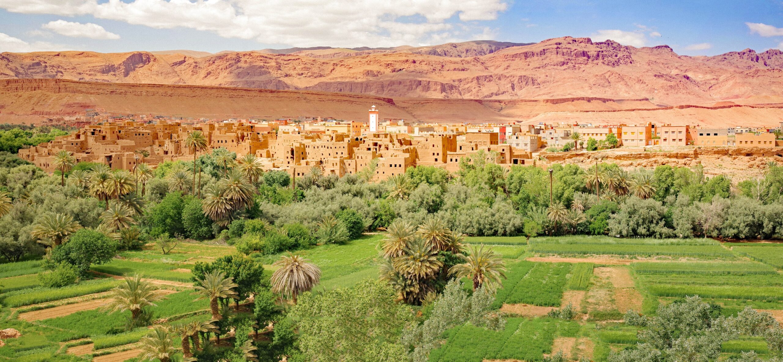 4 Days Desert Express Adventure