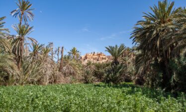 8 Days Morocco Tour from Agadir