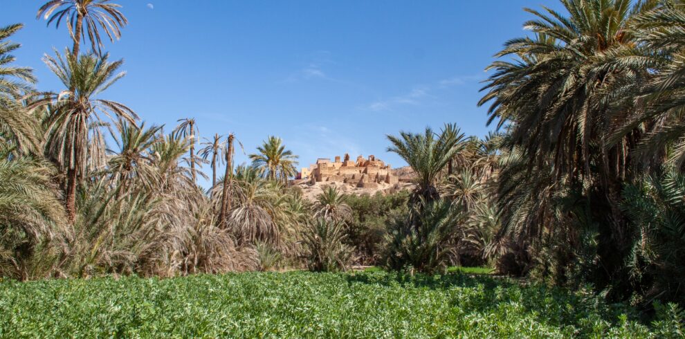 8 Days Morocco Tour from Agadir