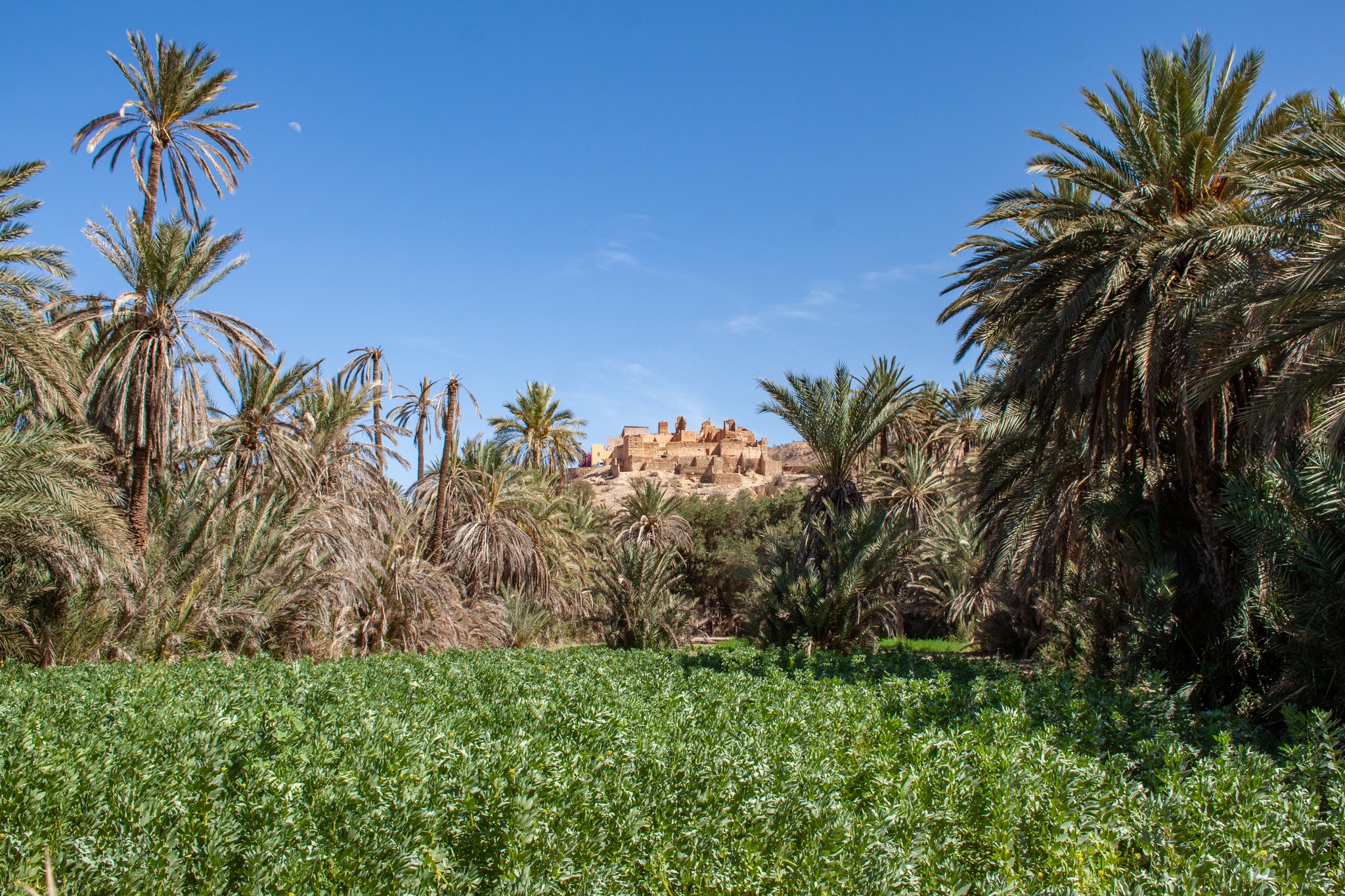 8 Days Morocco Tour from Agadir