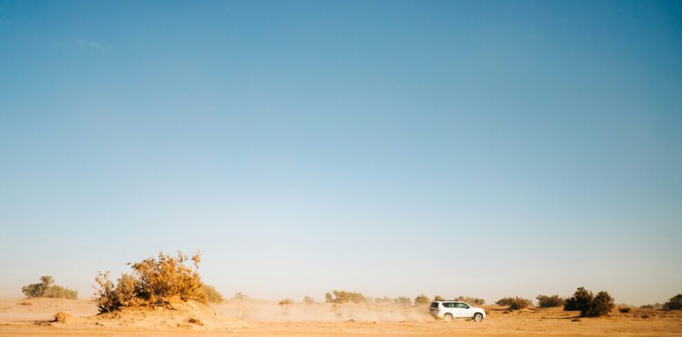 Marrakech desert safari