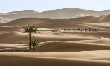 Morocco Adventure Tours