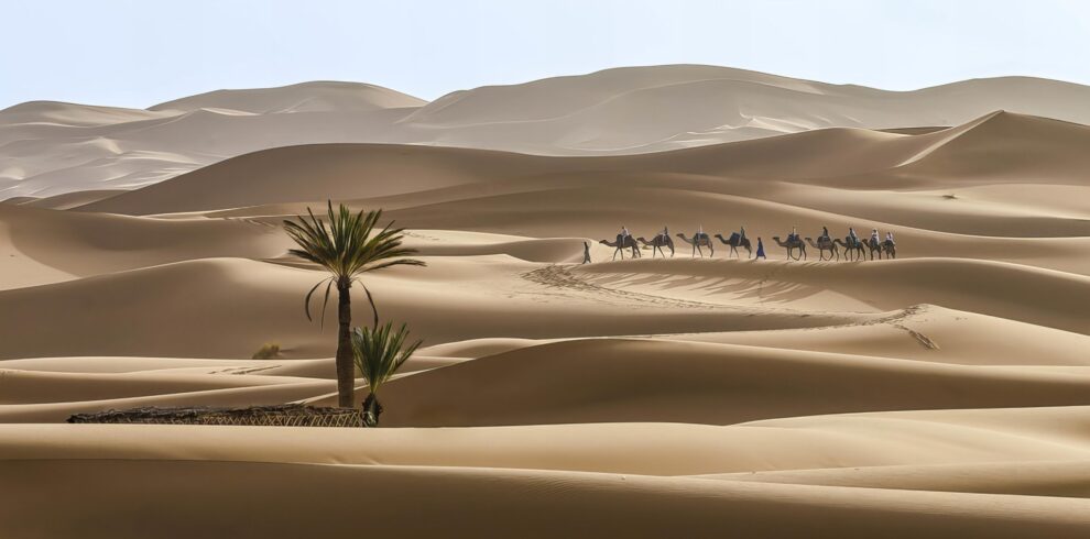 Morocco Adventure Tours
