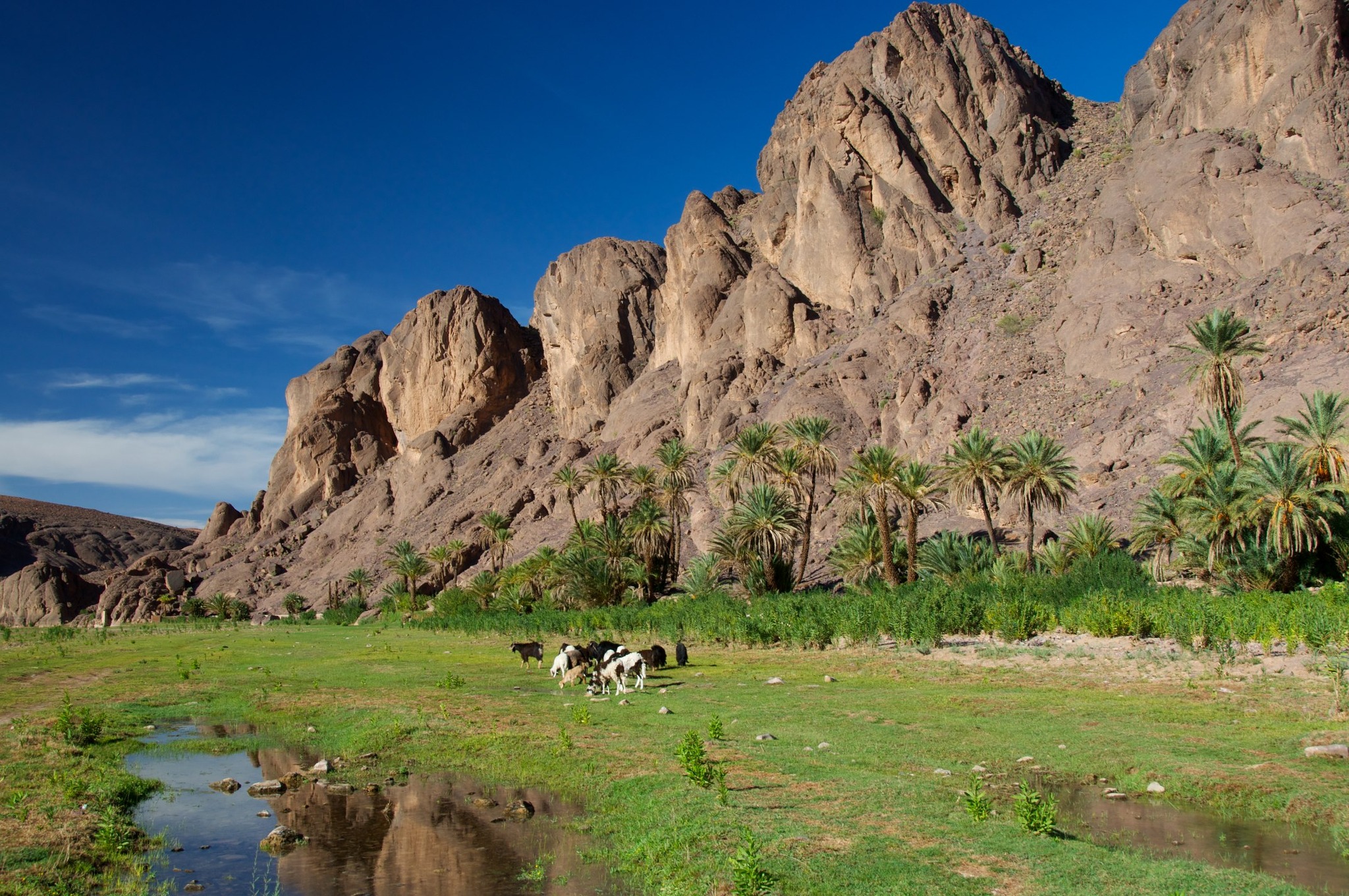 8 days Southern Oases and Valleys Adventure