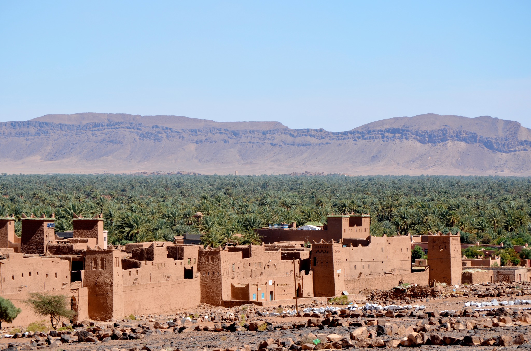 8 days Southern Oases and Valleys Adventure