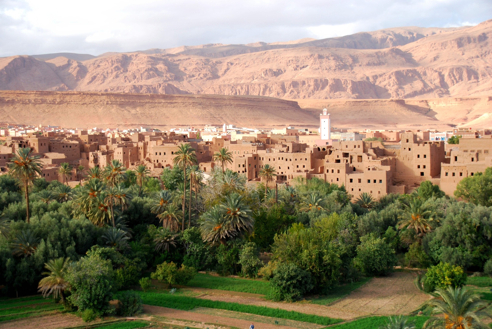 8 days Southern Oases and Valleys Adventure