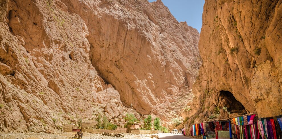 8 days Southern Oases and Valleys Adventure