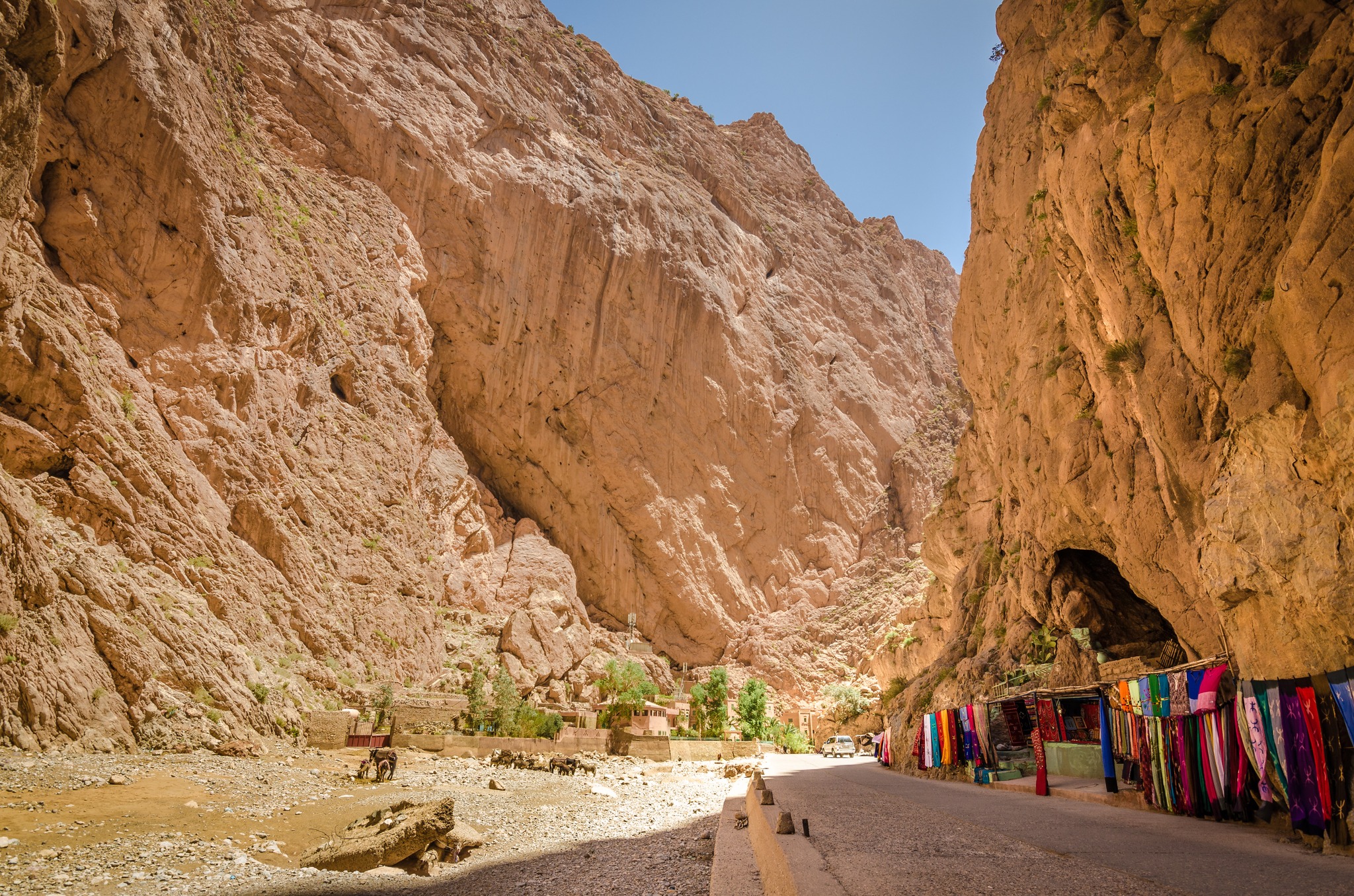 8 Days Morocco Tour from Tangier to Marrakech