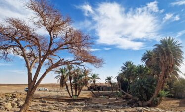 7 Days Morocco Desert Travel