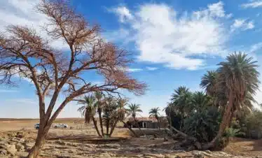 7 Days Morocco Desert Travel