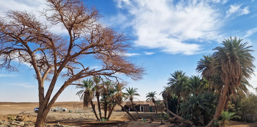 7 Days Morocco Desert Travel