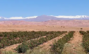 8-Day Rose Valley Trekking Tour