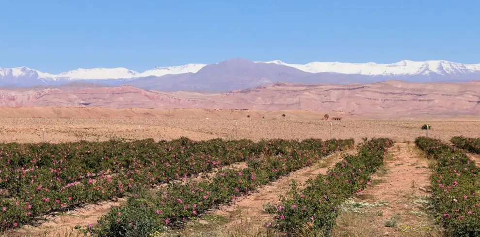 8-Day Rose Valley Trekking Tour