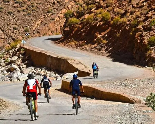 cycling tours