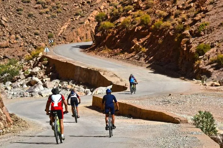cycling tours