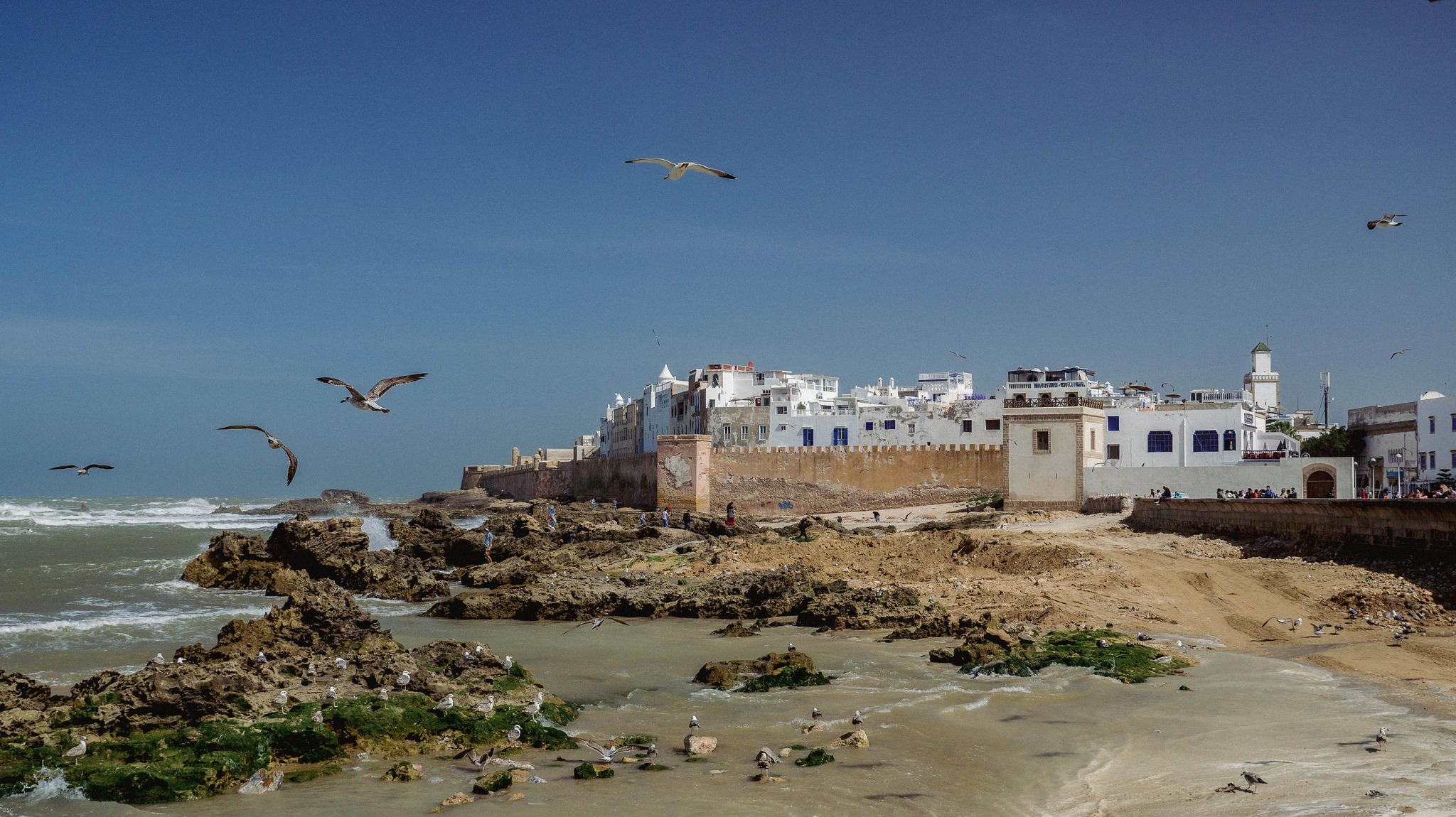 14-Day Morocco Tour from Tangier to essoauira
