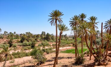 6 Days Desert Tour From Agadir 2