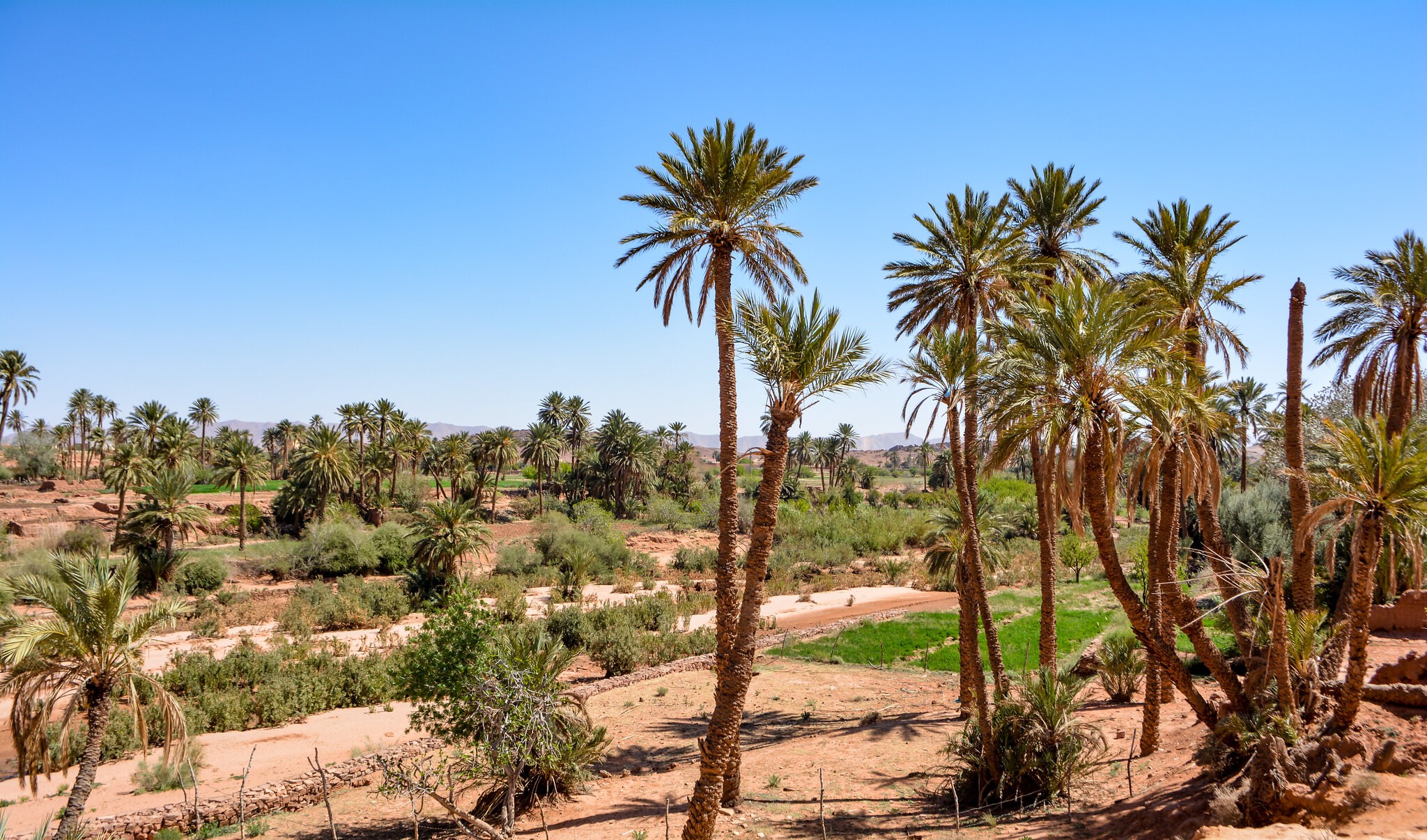 6 Days Desert Tour From Agadir 2