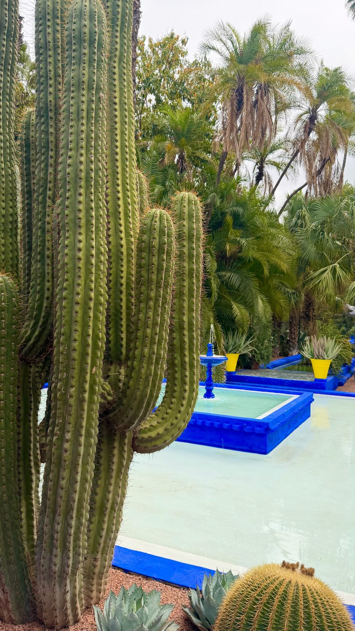 Morocco tour Operator