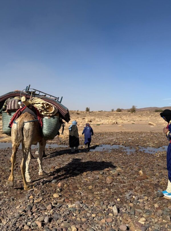 Sustainable Trekking Tours